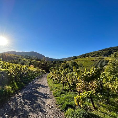 Chambre Du Vigneron - Domaine Leon Bleesz Reichsfeld Ngoại thất bức ảnh