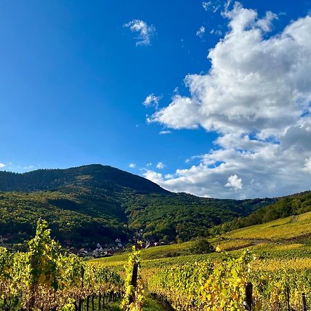 Chambre Du Vigneron - Domaine Leon Bleesz Reichsfeld Ngoại thất bức ảnh