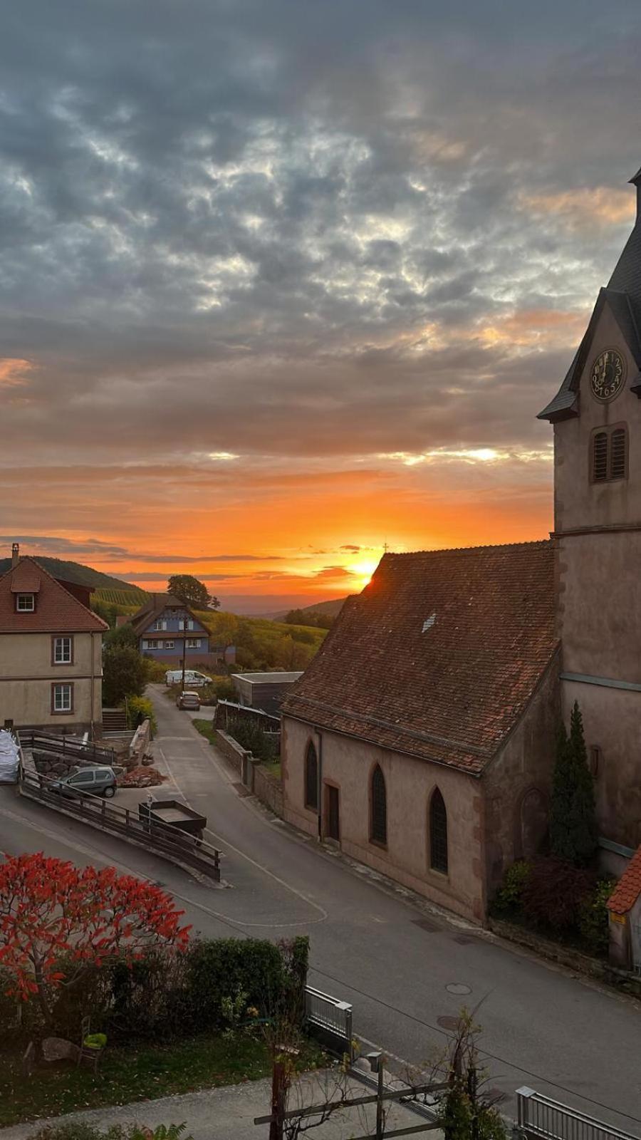Chambre Du Vigneron - Domaine Leon Bleesz Reichsfeld Ngoại thất bức ảnh
