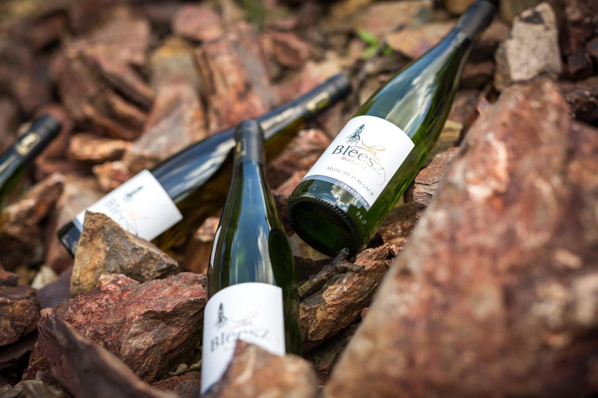 Chambre Du Vigneron - Domaine Leon Bleesz Reichsfeld Ngoại thất bức ảnh